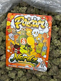 Poison Nerdz🔥